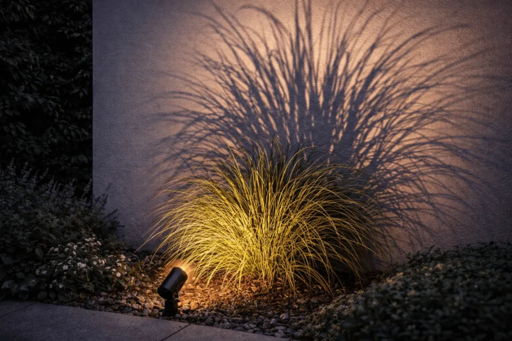 Schaduw van een siergras geprojecteerd op een witte muur door een spot.