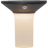 Eglo Solar lampCorbezzola met bewegingssensor - 900243